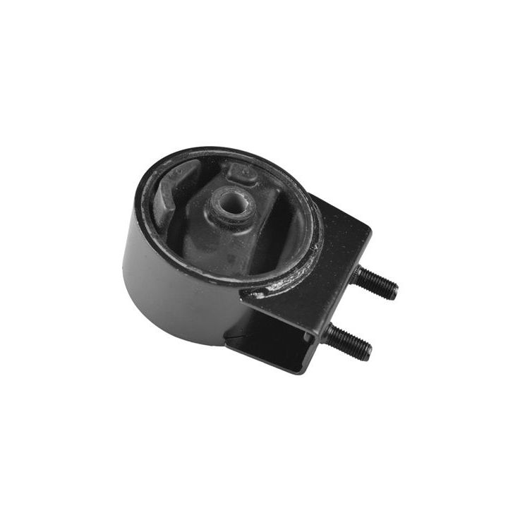 Variklio montavimas TEDGUM 00395810