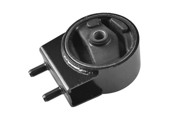 Variklio montavimas TEDGUM 00395810