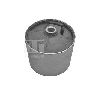 Variklio montavimas TEDGUM 00396416