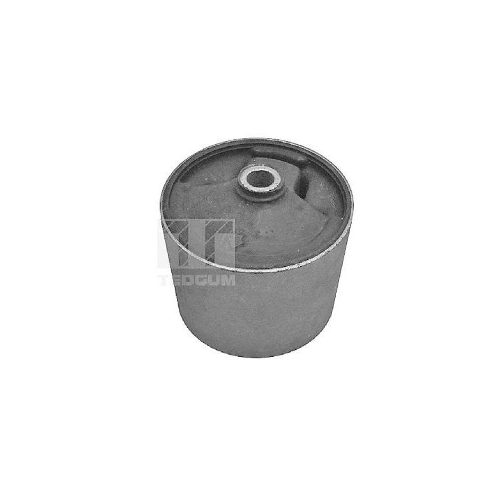 Variklio montavimas TEDGUM 00396416