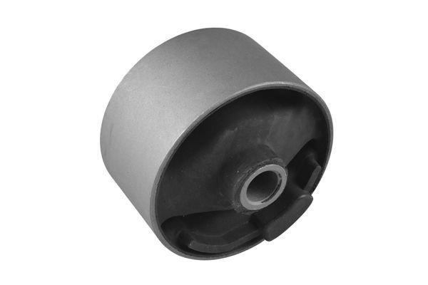 Variklio montavimas TEDGUM 00396561