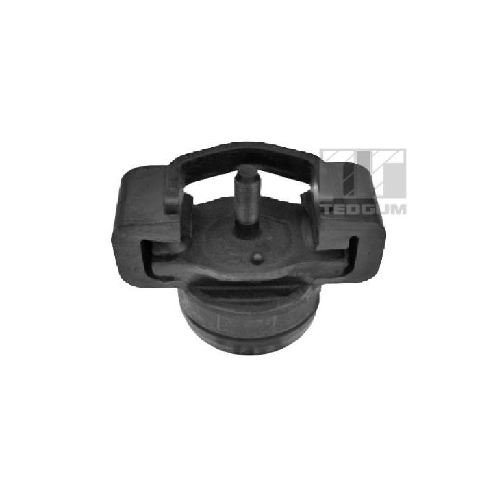 Variklio montavimas TEDGUM 00396686