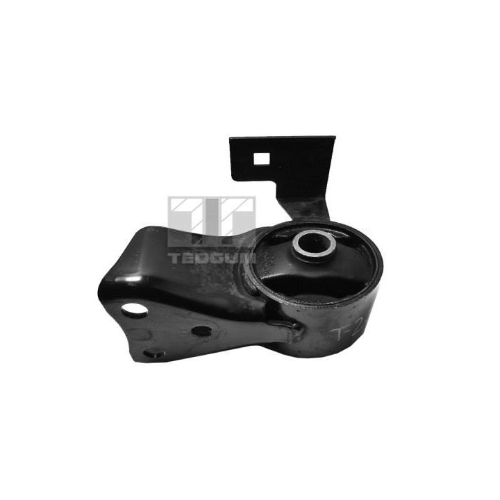 Variklio montavimas TEDGUM 00397080
