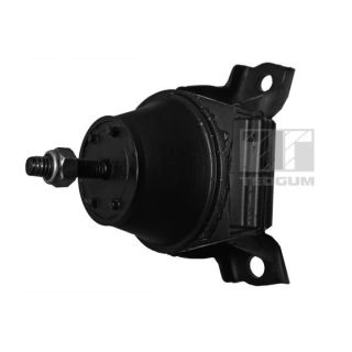 Variklio montavimas TEDGUM 00398245
