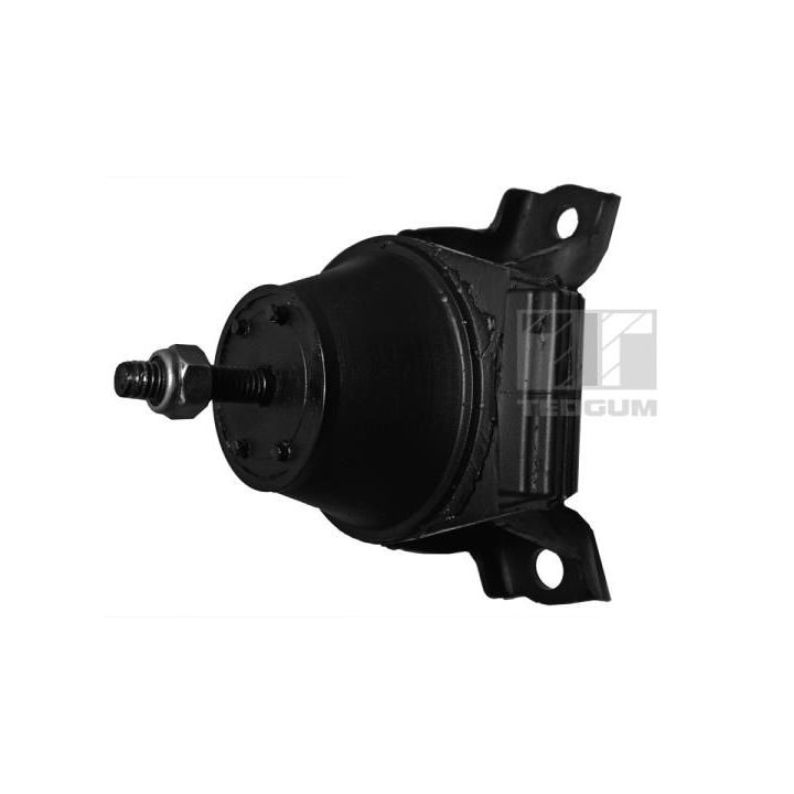 Variklio montavimas TEDGUM 00398245