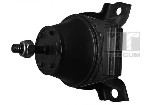 Variklio montavimas TEDGUM 00398245