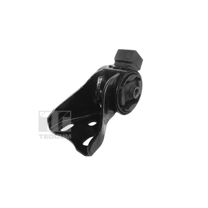 Variklio montavimas TEDGUM 00399009