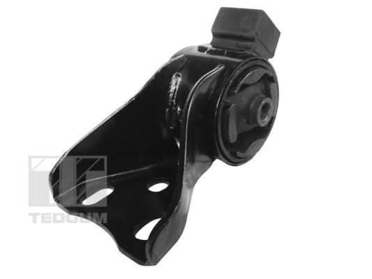 Variklio montavimas TEDGUM 00399009