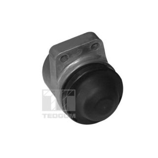 Variklio montavimas TEDGUM 00399821