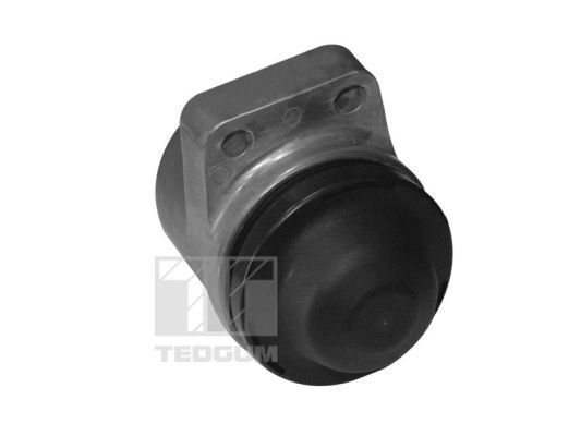 Variklio montavimas TEDGUM 00399821