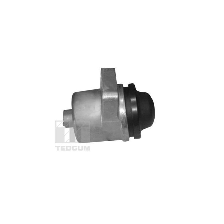 Variklio montavimas TEDGUM 00399821