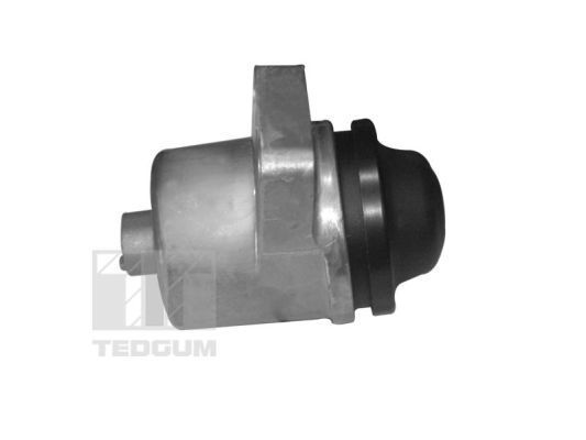 Variklio montavimas TEDGUM 00399821