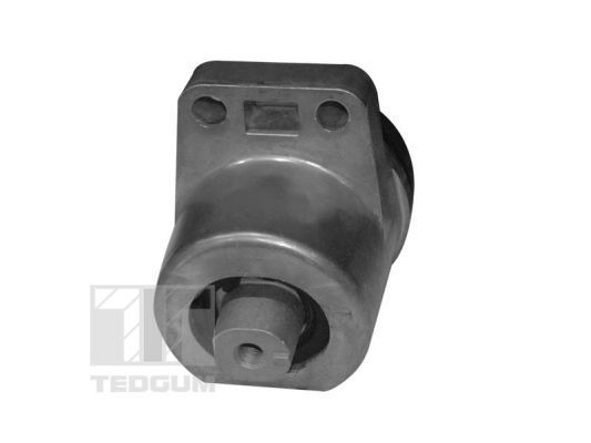 Variklio montavimas TEDGUM 00399821