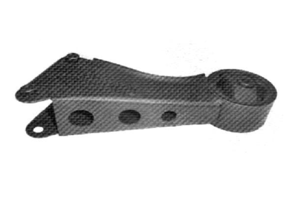 Variklio montavimas TEDGUM 00442601