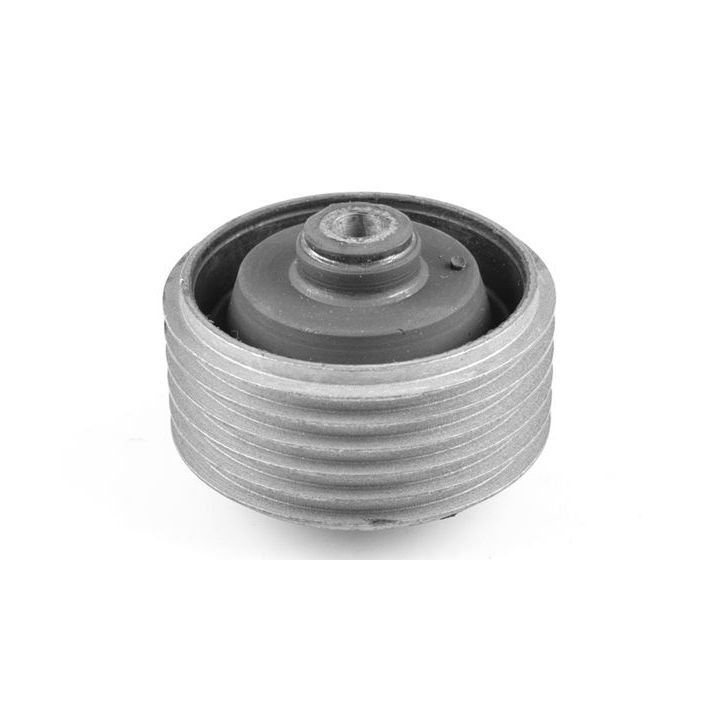 Variklio montavimas TEDGUM 00444559