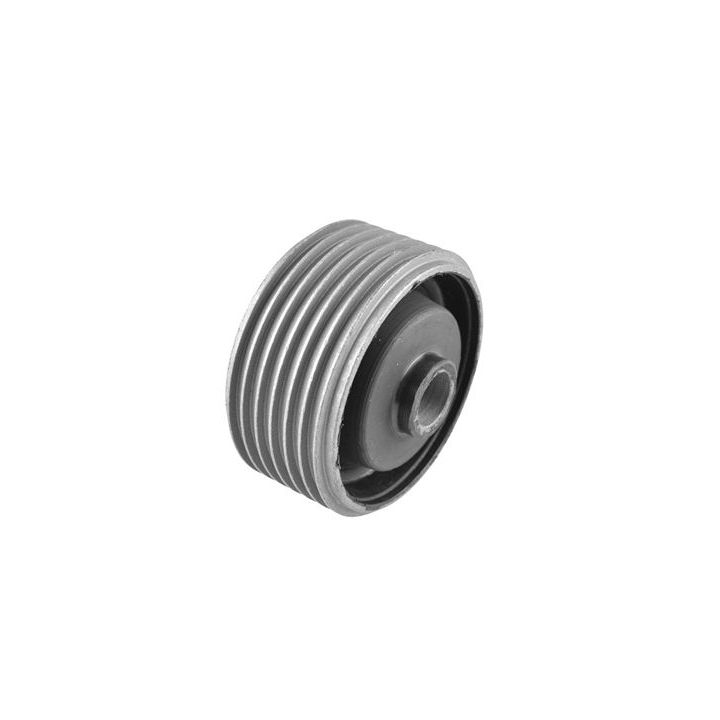 Variklio montavimas TEDGUM 00445130