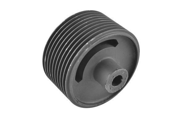 Variklio montavimas TEDGUM 00445362