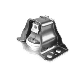 Variklio montavimas TEDGUM 00461426