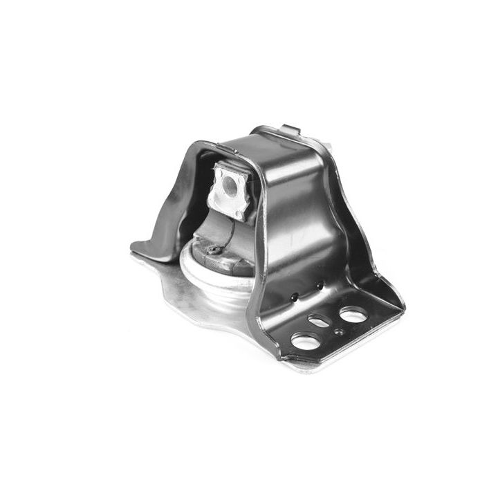 Variklio montavimas TEDGUM 00461426