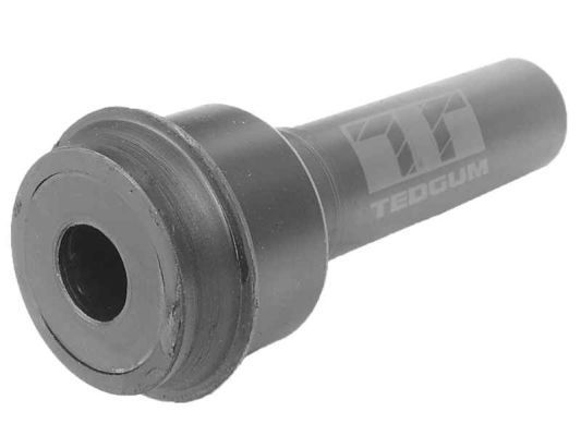 Variklio montavimas TEDGUM 00463091