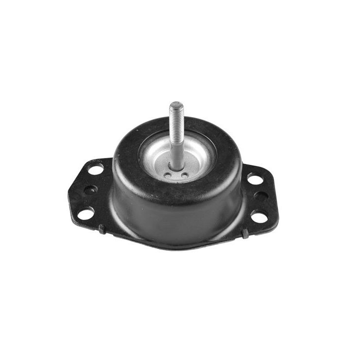 Variklio montavimas TEDGUM 00505737