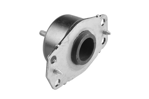 Variklio montavimas TEDGUM 00505737