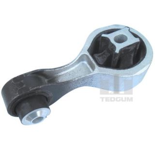 Variklio montavimas TEDGUM 00507121