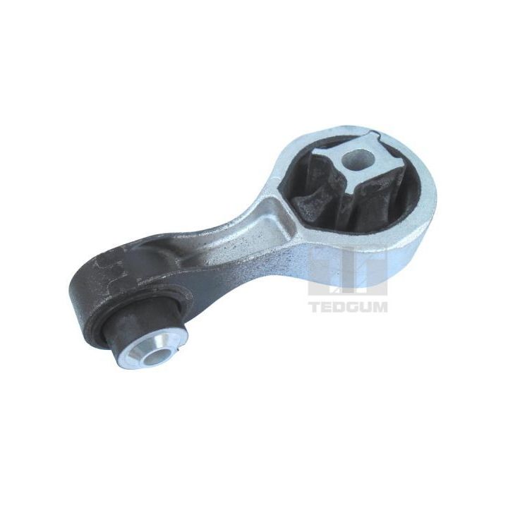 Variklio montavimas TEDGUM 00507121