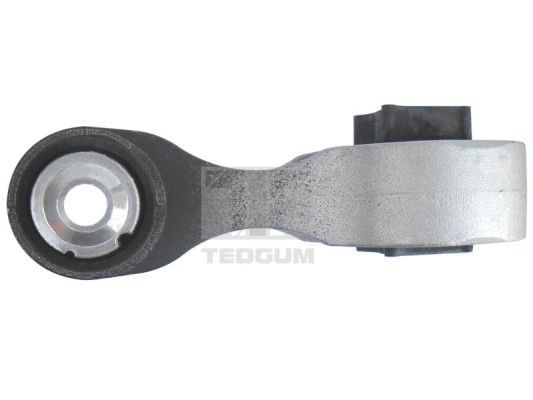 Variklio montavimas TEDGUM 00507121