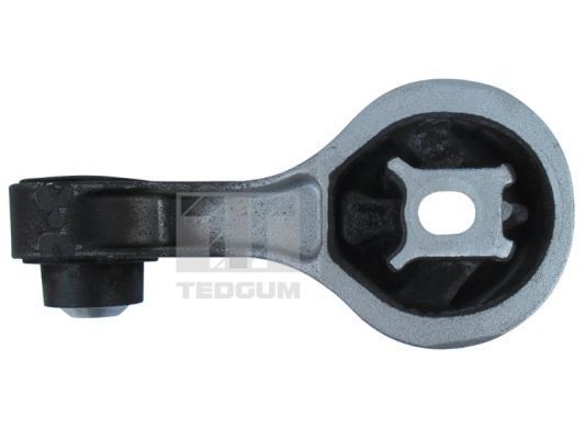 Variklio montavimas TEDGUM 00507121