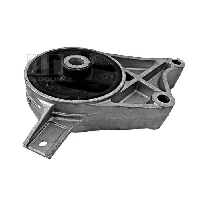 Variklio montavimas TEDGUM 00507914