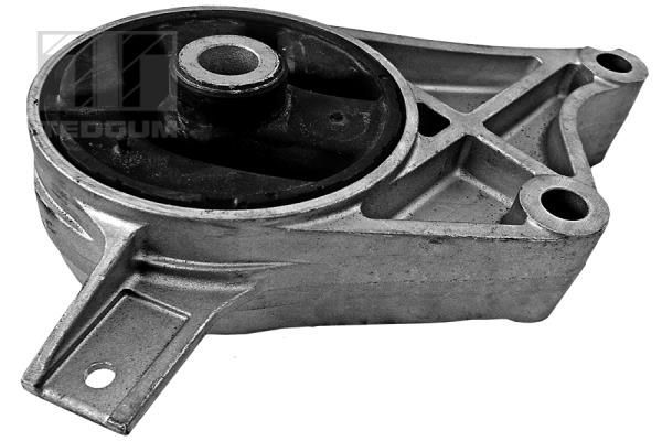 Variklio montavimas TEDGUM 00507914