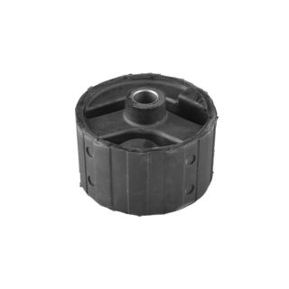 Variklio montavimas TEDGUM 00507916