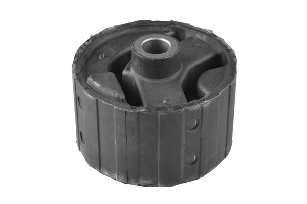 Variklio montavimas TEDGUM 00507916