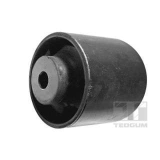 Variklio montavimas TEDGUM 00510490