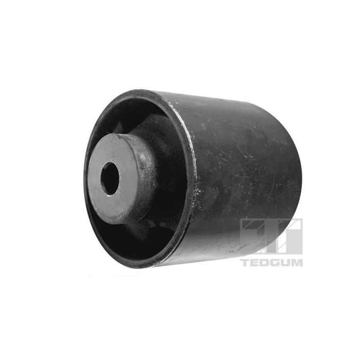 Variklio montavimas TEDGUM 00510490