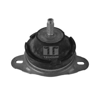 Variklio montavimas TEDGUM 00514176