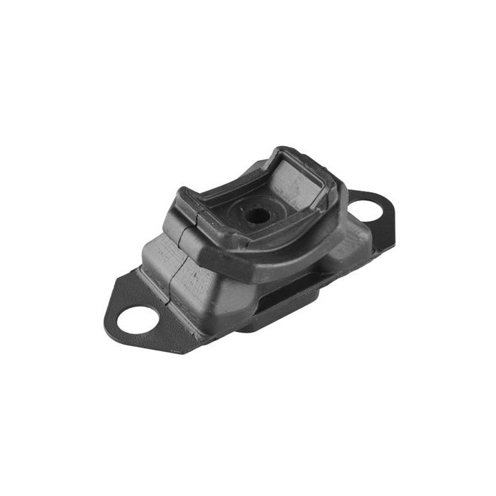 Variklio montavimas TEDGUM 00580818