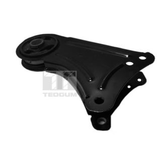 Variklio montavimas TEDGUM 00581749