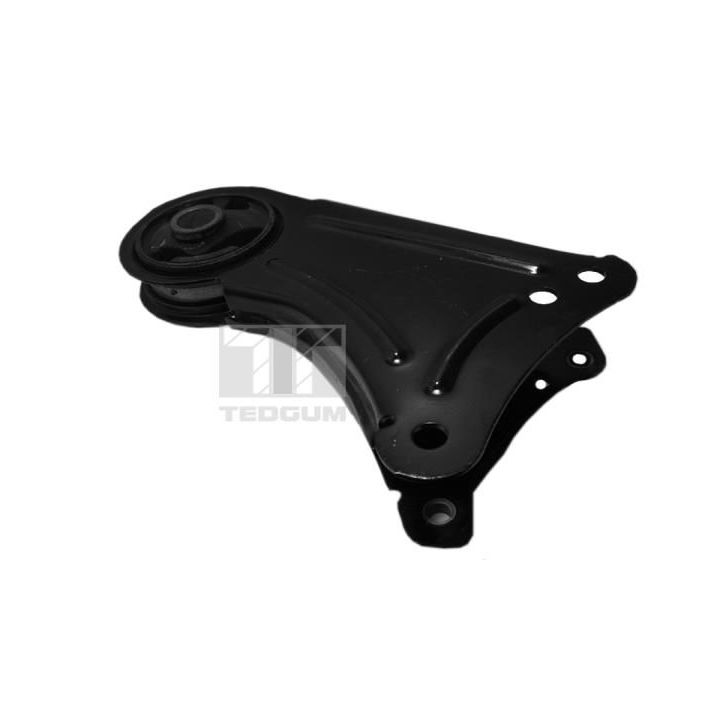 Variklio montavimas TEDGUM 00581749