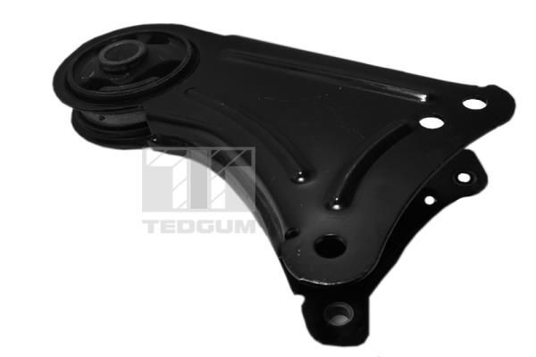 Variklio montavimas TEDGUM 00581749