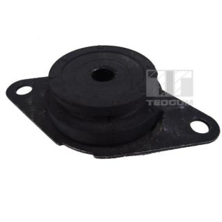 Variklio montavimas TEDGUM 00581751