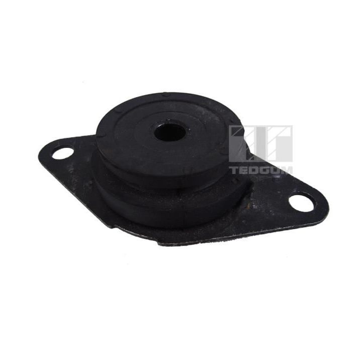 Variklio montavimas TEDGUM 00581751