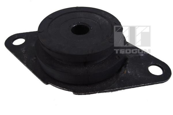 Variklio montavimas TEDGUM 00581751