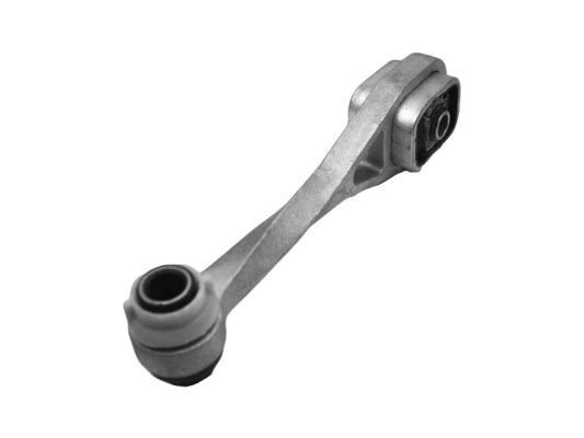 Variklio montavimas TEDGUM 00581752