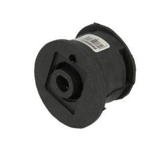 Variklio montavimas TEDGUM 00583024