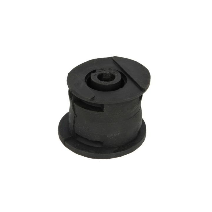 Variklio montavimas TEDGUM 00583024