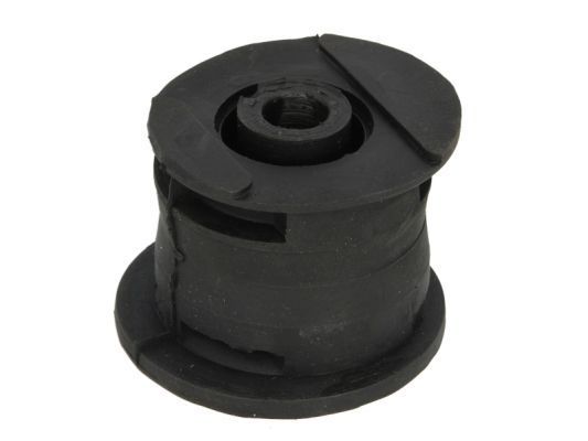 Variklio montavimas TEDGUM 00583024