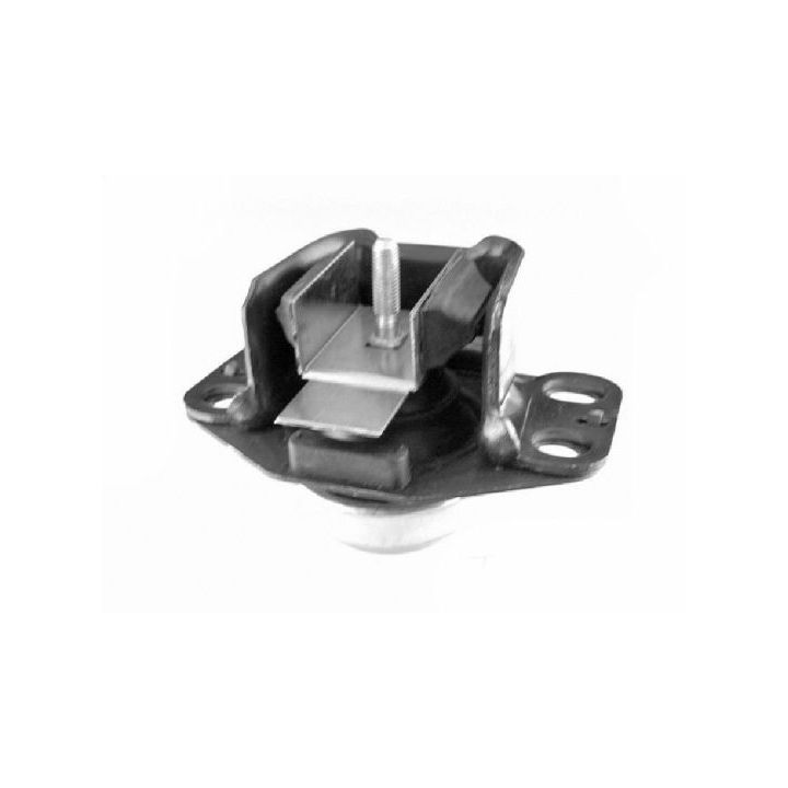 Variklio montavimas TEDGUM 00583937