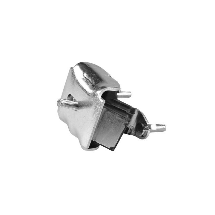 Variklio montavimas TEDGUM 00583940